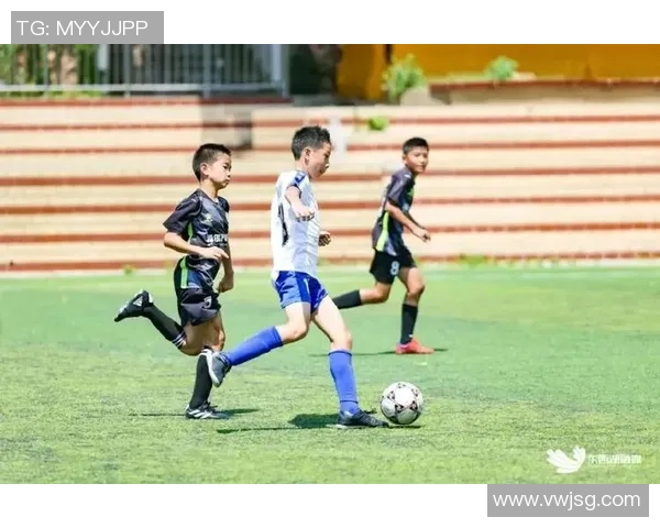 足球半岛的魅力与挑战探索这片热土上的足球文化与未来发展